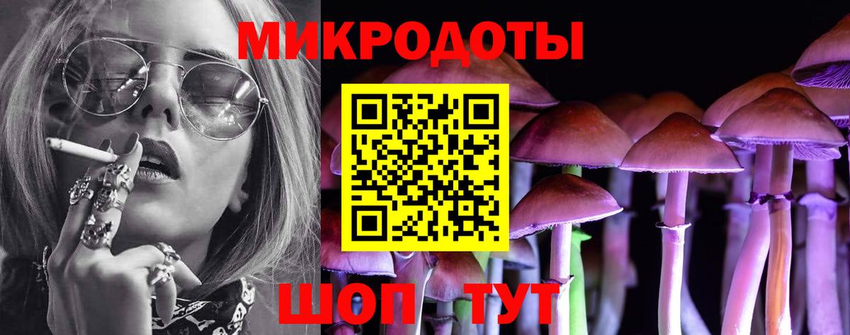 Псилоцибиновые грибы Cubensis Строитель