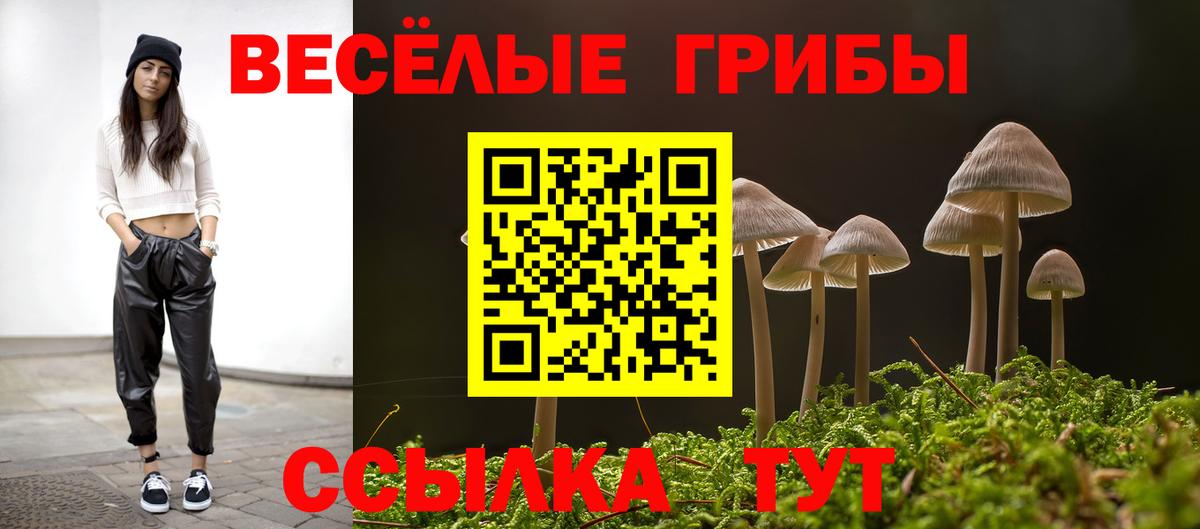 Строитель  Псилоцибиновые грибы MAGIC MUSHROOMS  Вход с VPN 